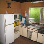 Nishiawa_old_2013_I_bf02